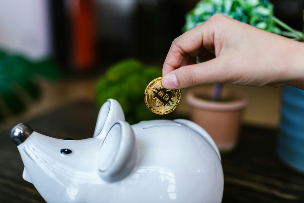 Earning money coin in piggy bank cannabis investors